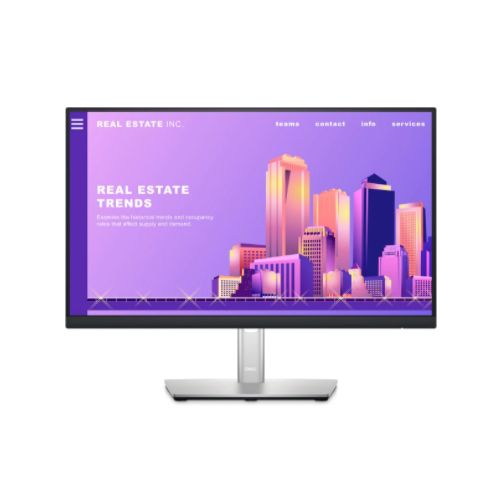 Monitor Dell P2219H (SNSP2219H)