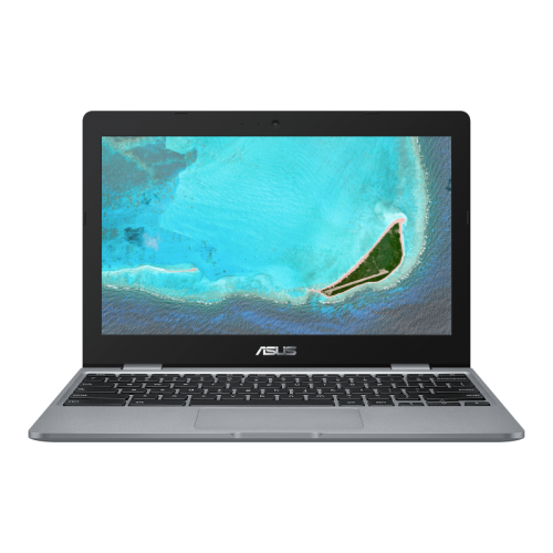 Notebook Asus ChromeBook (C223NA-GJ0100)