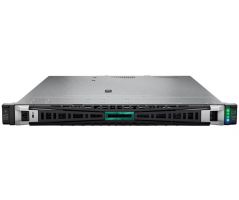 Server HPE ProLiant DL325 Gen11 (P58690-B21)