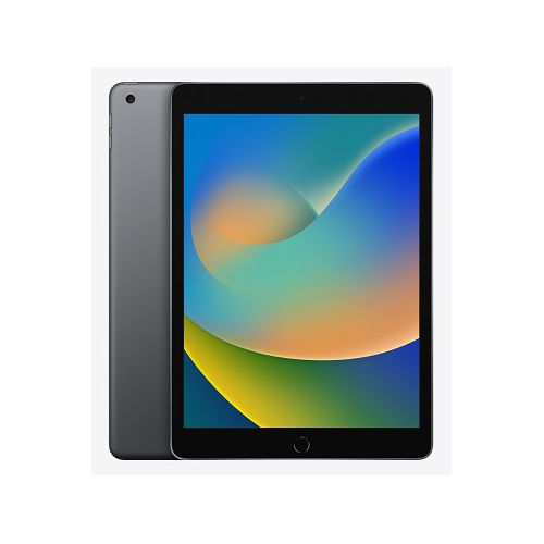 Apple iPad 9 10.2-inch Wi-Fi 256GB Space Grey (MK2N3TH/A)