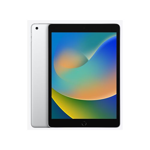 Apple iPad 9 10.2-inch Wi-Fi 256GB Silver (MK2P3TH/A)