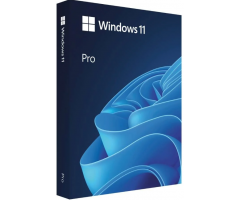 Microsoft Windows Pro FPP 11 64-bit Eng Intl USB (HAV-00163)