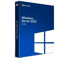 Microsoft Windows Server CAL OEM 2022 English 1pk DSP OEI 5 Clt Device CAL (R18-06430)