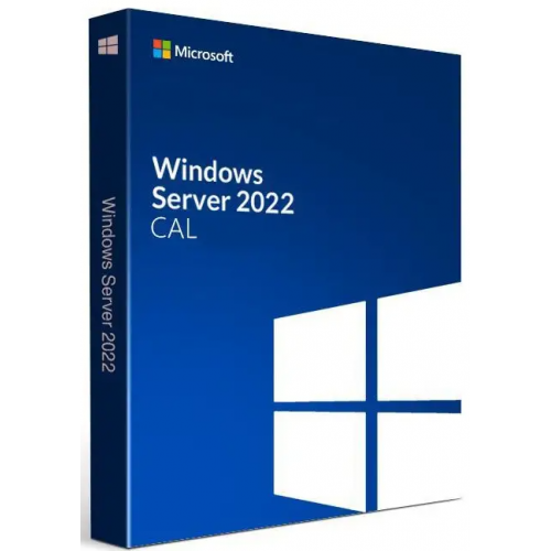 Microsoft Windows Server CAL OEM 2022 English 1pk DSP OEI 5 Clt User CAL (R18-06466)