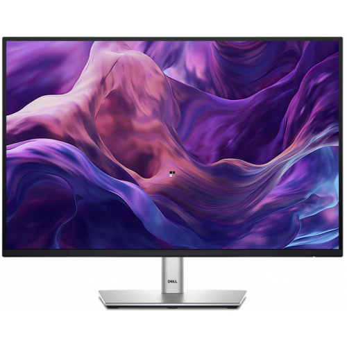 Monitor Dell P2425 (SNSP2425)