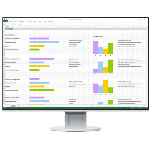 Monitor EIZO FlexScan EV2456-WT