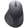 Dell Premier Rechargeable Mouse - MS900 (570-BBDD)