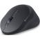 Dell Premier Rechargeable Mouse - MS900 (570-BBDD)