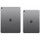 Apple iPad Air M2 11-inch Wi-Fi + Cellular 1TB Space Grey (MUXR3TH/A)