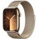 Apple Watch Series 9 GPS + Cellular 41mm Gold Stainless Steel Case with Gold (MRJ73SA/A)