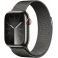 Apple Watch Series 9 GPS + Cellular 41mm Graphite Stainless Steel Case with Graphite (MRJA3SA/A)