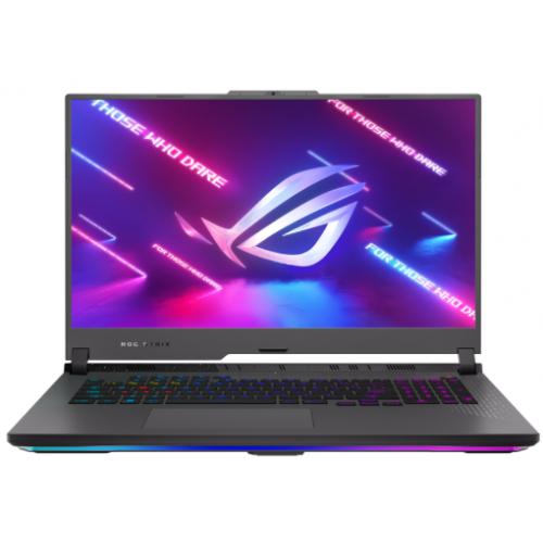 Notebook Asus ROG Strix G17 (G713PV-LL128W)