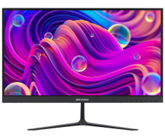 Monitor Hikvision (DS-D5022F2-2V2)
