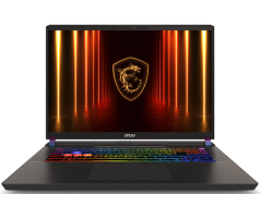 Notebook MSI Vector A16 HX A8WHG-020TH (9S7-15MM72-020)