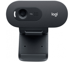 Webcam Logitech C505 HD (960-001370)