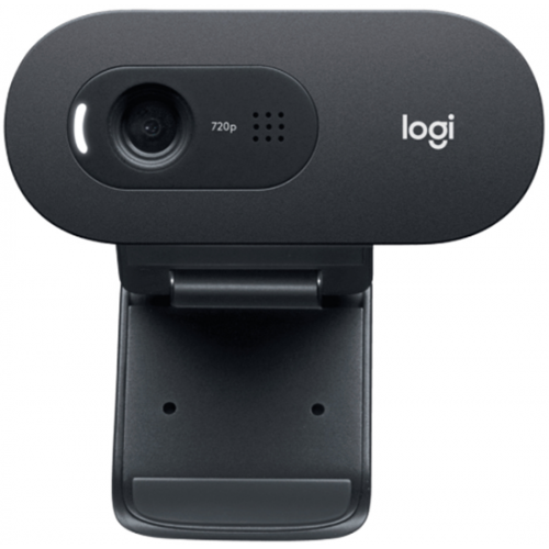 Webcam Logitech C505 HD (960-001370)